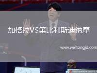 加格拉VS第比利斯迪納摩