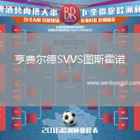 亨費(fèi)爾德SVVS圖斯霍諾