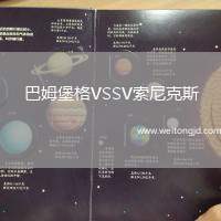 巴姆堡格VSSV索尼克斯