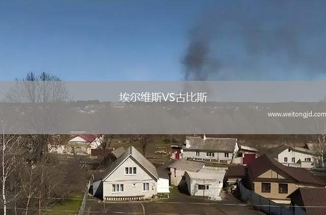 埃爾維斯VS古比斯