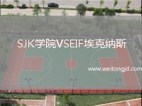 SJK學(xué)院VSEIF埃克納斯