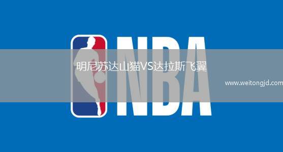 明尼蘇達(dá)山貓VS達(dá)拉斯飛翼