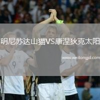 明尼蘇達(dá)山貓VS康涅狄克太陽(yáng)