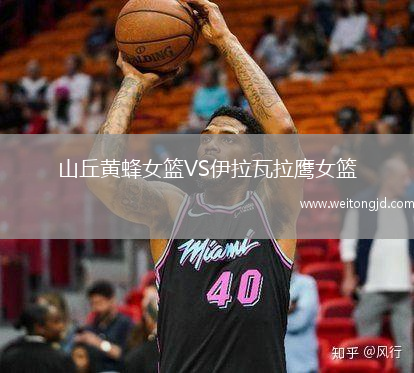 山丘黃蜂女籃VS伊拉瓦拉鷹女籃