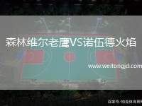 森林維爾老鷹VS諾伍德火焰
