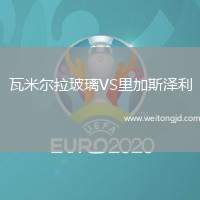 瓦米爾拉玻璃VS里加斯澤利