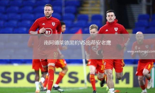 南阿德萊德黑豹VS龐蒂安老鷹