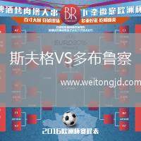 斯夫格VS多布魯察