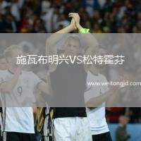 施瓦布明興VS松特霍芬