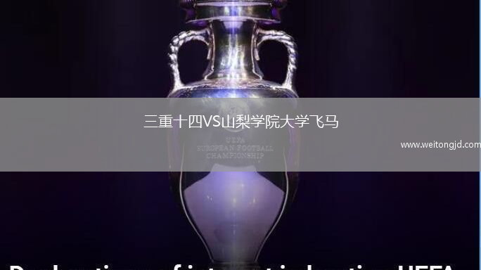 三重十四VS山梨學(xué)院大學(xué)飛馬