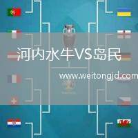 河內水牛VS島民
