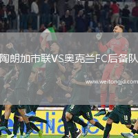陶朗加市聯(lián)VS奧克蘭FC后備隊(duì)