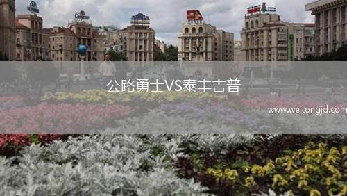 公路勇士VS泰豐吉普