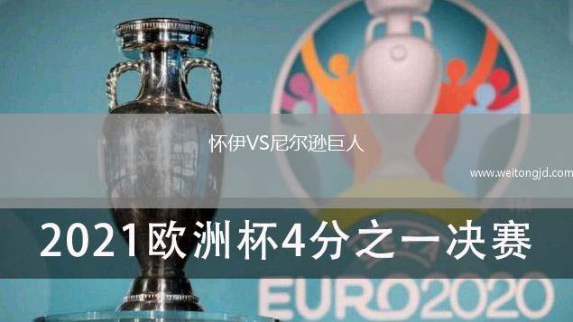 懷伊VS尼爾遜巨人