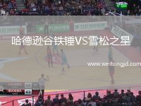 哈德遜谷鐵錘VS雪松之星