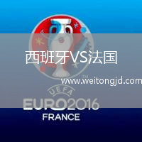 西班牙VS法國
