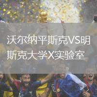 沃爾納平斯克VS明斯克大學X實驗室
