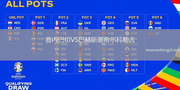 費內巴切VS巴赫斯塞希爾科勒吉