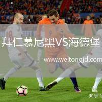 拜仁慕尼黑VS海德堡