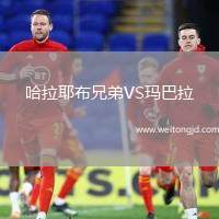 哈拉耶布兄弟VS瑪巴拉