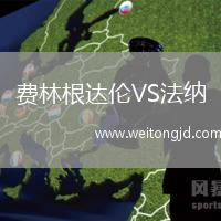 費(fèi)林根達(dá)倫VS法納