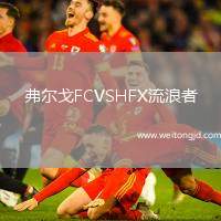 弗爾戈FCVSHFX流浪者