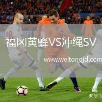 福岡黃蜂VS沖繩SV