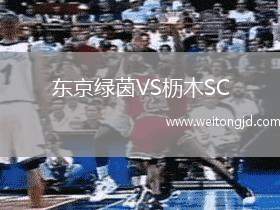 東京綠茵VS櫪木SC