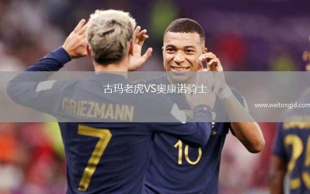 古瑪老虎VS奧康諾騎士