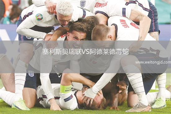 塞利斯貝瑞聯(lián)VS阿德萊德毒蛇