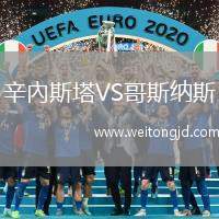辛內斯塔VS哥斯納斯