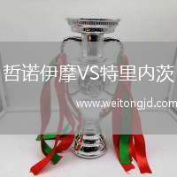 哲諾伊摩VS特里內茨