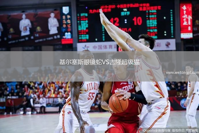 基爾塞斯眼鏡蛇VS吉隆超級貓