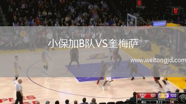 小保加B隊VS奎梅薩