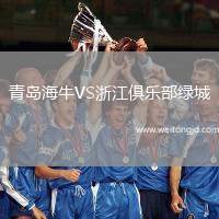 青島海牛VS浙江俱樂部綠城