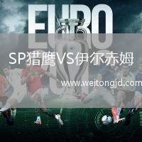 SP獵鷹VS伊爾赤姆