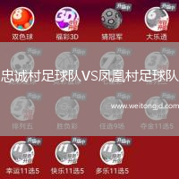 忠誠(chéng)村足球隊(duì)VS鳳凰村足球隊(duì)