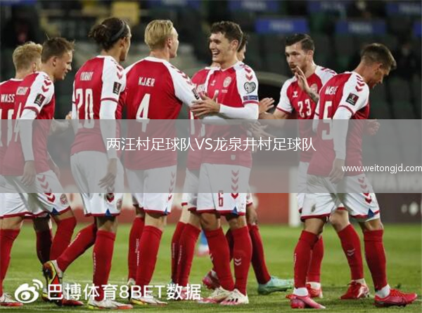 兩汪村足球隊(duì)VS龍泉井村足球隊(duì)