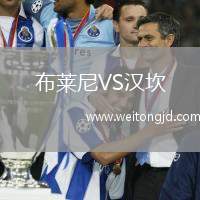 布萊尼VS漢坎