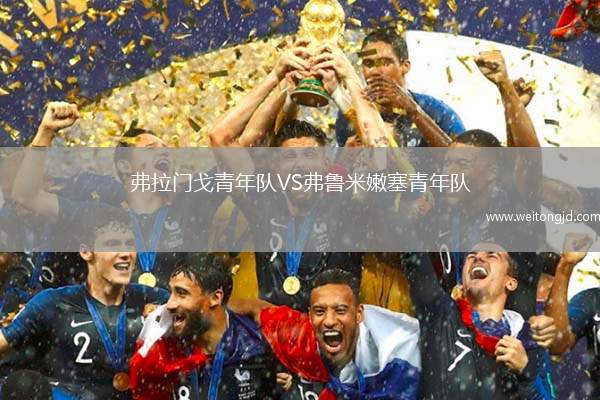 弗拉門戈青年隊VS弗魯米嫩塞青年隊