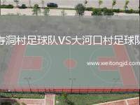 壽洞村足球隊(duì)VS大河口村足球隊(duì)