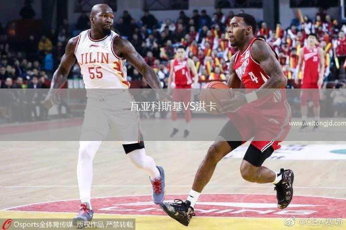 瓦亞科斯基VS洪卡