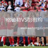 格德勒VS彭祖約