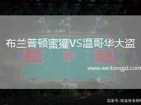布蘭普頓蜜獾VS溫哥華大盜