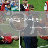 多倫多猛龍VS金州勇士