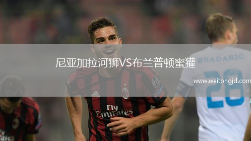 尼亞加拉河獅VS布蘭普頓蜜獾