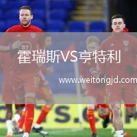 霍瑞斯VS亨特利