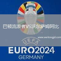 巴頓流浪者VS沃爾薩姆阿比